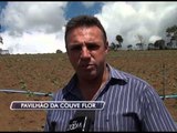 03-04-2014 - PAVILHÃO DA COUVE-FLOR - ZOOM TV JORNAL