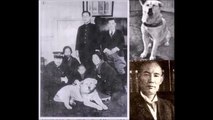 Hachiko - A Dog's Story (Real Story)