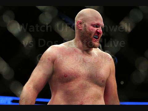 watch Rothwell vs Dos Santos April Live Streaming