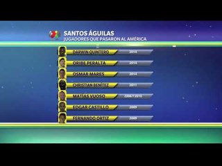 Los Santos que se volvieron Aves