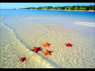 María Bonita (Agustín  Lara)