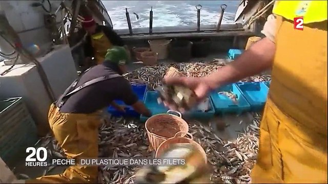 les pêcheurs pêchent de plus en plus de plastique en Méditerranée