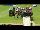 TOP NOVICES' HURDLE 2016
