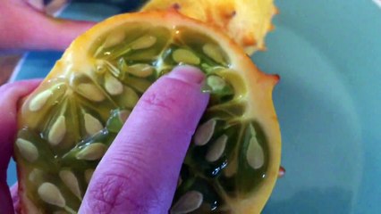 Trying Exotic Fruit | African Horned Melon