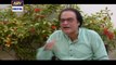 Bulbulay Episode 374 on Ary Digital in High Quality 8th April 2016