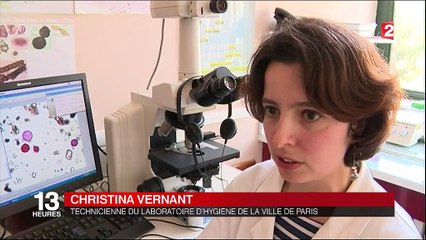 Allergies : les pollens font leur grand retour