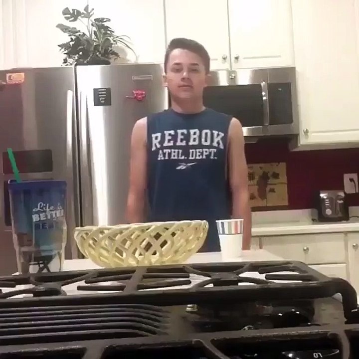 funny videos 2016