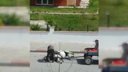 Ata Yapılan İşkence Kameraya Yansıdı