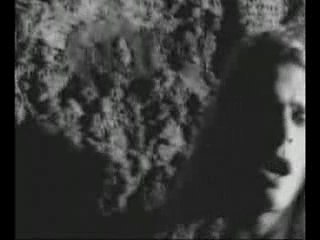 White Lion - Cry Freedom