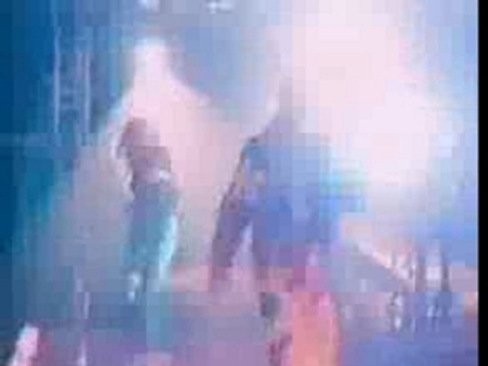 White Lion - Little Fighter