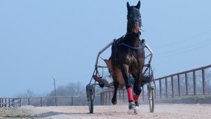 Lad driver: un métier dans l'ombre des champions