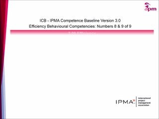 ICB - IPMA Baseline v3: Efficiency Competencies 8 & 9