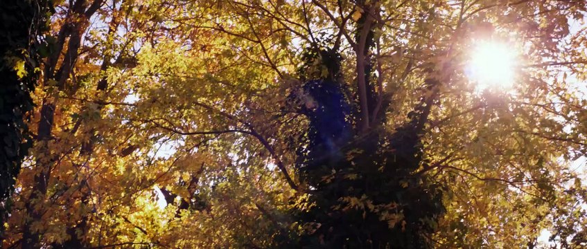 Насильно мил не будешь (2016) ¦ Русскоязычный Трейлер