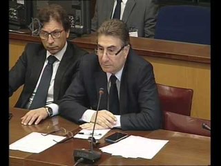 Roma - Audizione della signora Isabella Guarino (07.04.16)