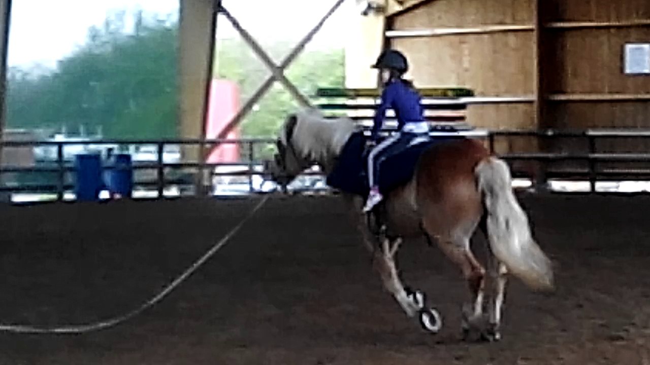 VID_20160408_164712