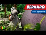Bernard Bear - 92 - Close encounters 3