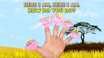 Peppa Pig Safari Finger Family (Nursery Rhymes Lyrics)