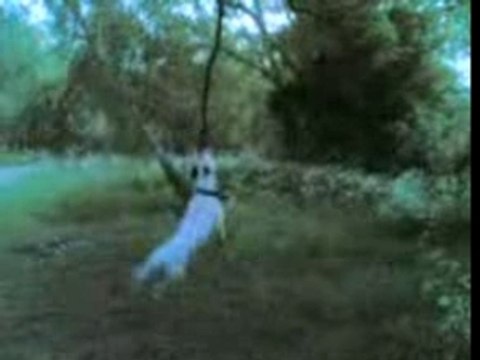 hr 78260 pit de ouf!!!!!!!!!