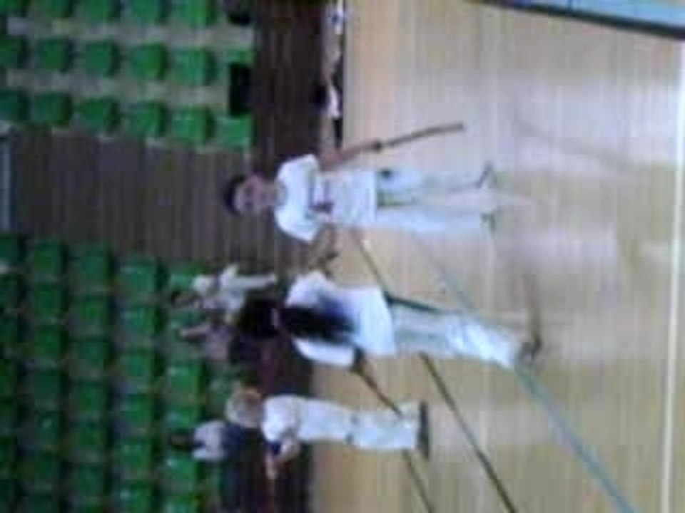 capoeira grais paris