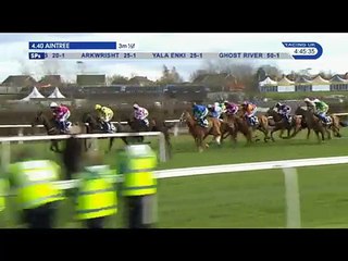 SEFTON NOVICES' HURDLE 2016