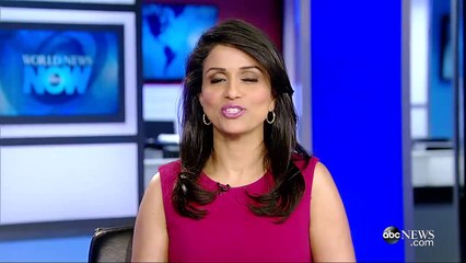 Baby Bear 'Smokey Junior' Rescued From Brush Fire