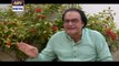 Bulbulay Episode 374 on Ary Digital in High Quality 7th April 2016