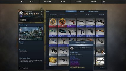 CSGO Weapons Case Opening - UNEDITED (Derpy Intro) with @Sir_Giggleton