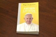 Nueva exhortación del Papa sobre la familia 'Amoris Laetitia'