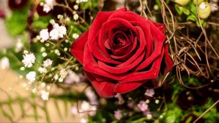 Сергей Суханов-розы красные  и Вадим Климов-с тобою рай на земле