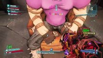 Borderlands 2 délire (3)
