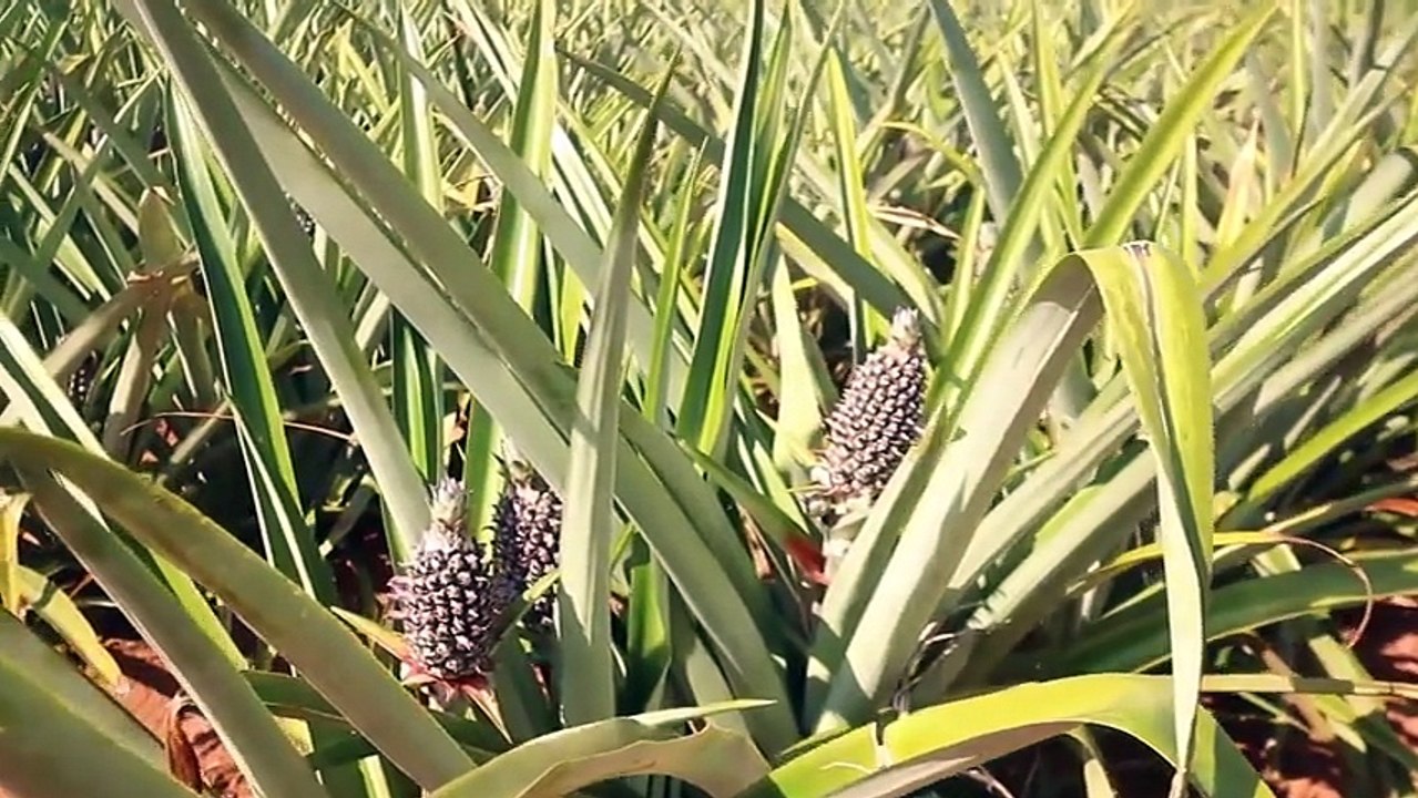 Reflexiones cristianas "Sociedad con Dios"