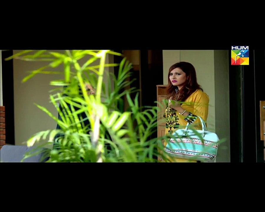 Maan Episode 25 HUM TV Full Drama 8 April 2016 Part 2