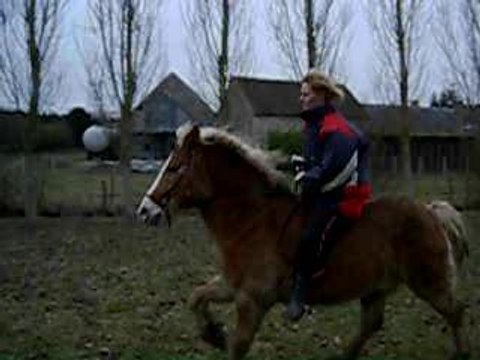 quelques prouesses de JAZON