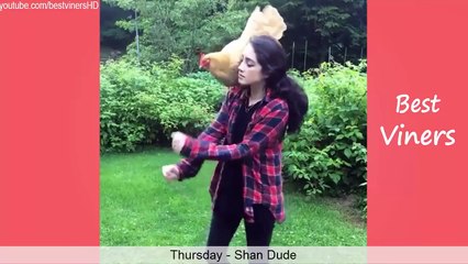 Top 100 Funny Animals Vines 2015 - Vine compilation - Best Viners