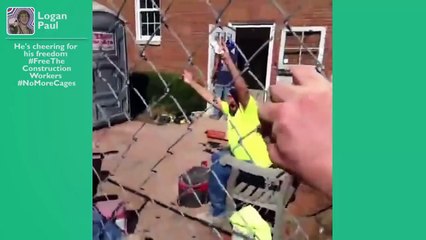 Funniest Vine Compilation Ever So Far