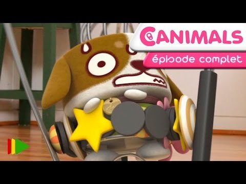 Canimals - 51 - Les aimants