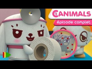 Canimals - 52 - Apprenties infirmières