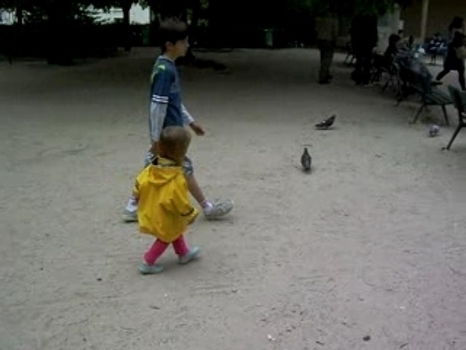 Garance court après un pigeon au parc de choisy
