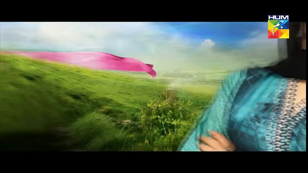 Haya Kay Daman Main Episode 8 Full HUM TV Drama 8 April 2016