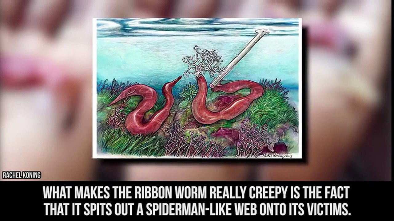 10 Weirdest Bugs You Won t Believe Exist
