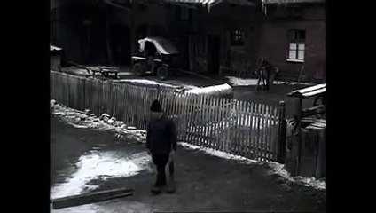 Koniec Głupoty - Sami Swoi