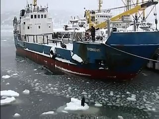 What This Man Does For This Dog Is INCREDIBLE