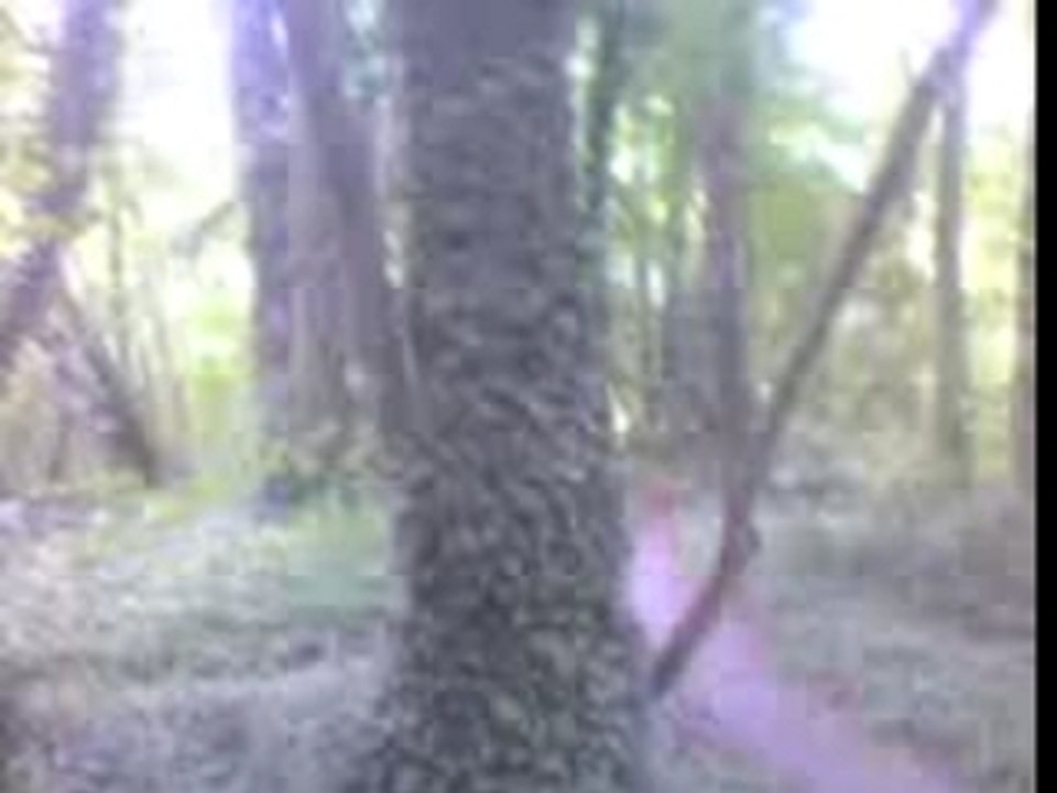Video-0038