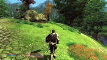 Elder Scrolls IV  Oblivion graphics overhaul