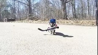 Dog playing hockey. WTF? :)