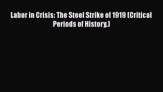 [PDF] Labor in Crisis: The Steel Strike of 1919 (Critical Periods of History.) [Download] Full