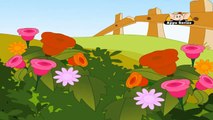 Rang Birange Phool - Nursery Rhyme with Lyrics