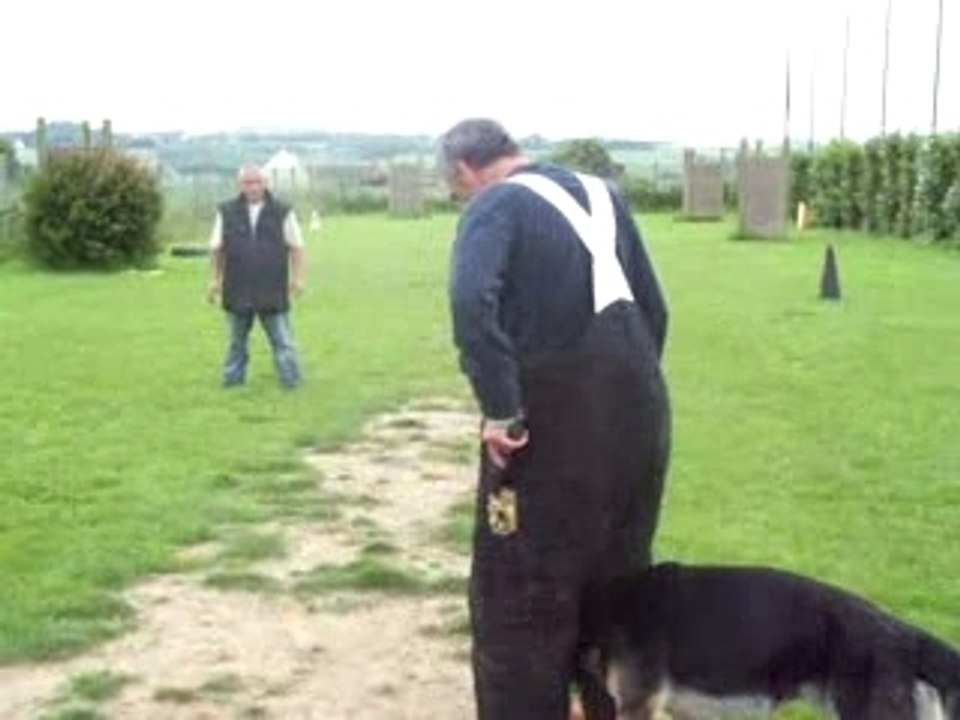 Baxter a la garde aux ferme sur caloone