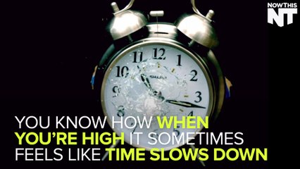 You Should Watch Comedy Central's 'Time Traveling Bong'