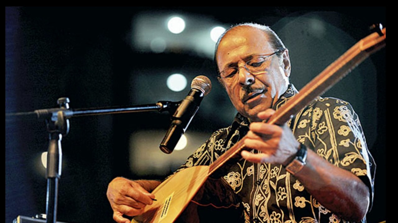 Neşet Ertaş - Yazımı Kışa Çevirdin Leylam